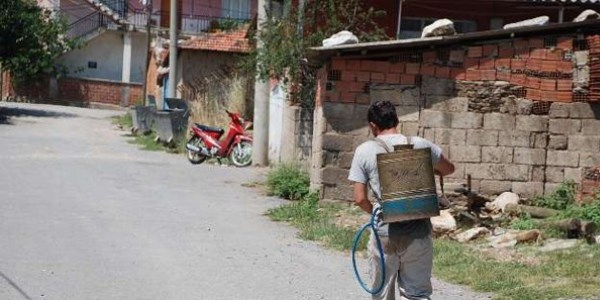 Bu mahalleyi pireler bastı