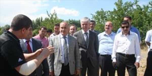 'Doktor arılar projesi' meyvesini verdi
