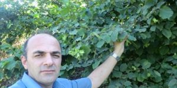 Düzce'de 2013 yılı tahmini fındık rekoltesi belirlendi