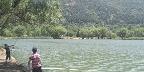 Gölcük'te yayla sezonunu açılıyor