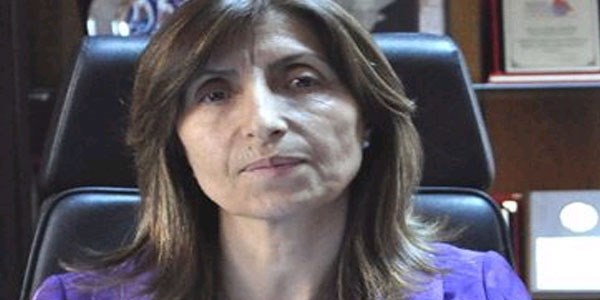 Tunceli'de parka yıkım kararı tepkiyle karşılandı