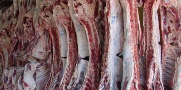 Et üretim tesisinin çalışanları eylem yaptı