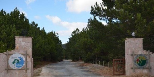 Spil Milli Parkı halka açılıyor