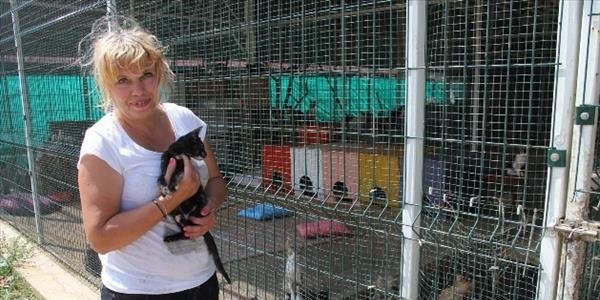 Evini satarak 1000 hayvanın yaşadığı barınak kurdu