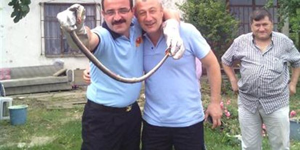 Eve giren 2 metrelik y�lan� itfaiye ekibi yakalad�