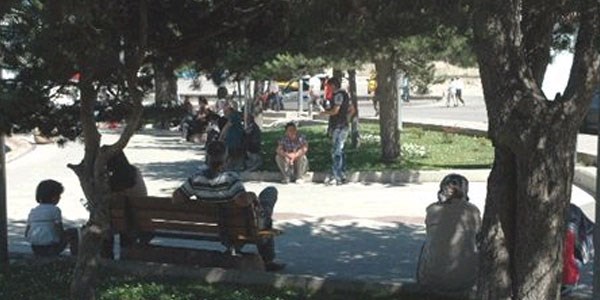 Sıcaktan bunalanar deniz olmayınca ağaç gölgelerinde serinlendiler