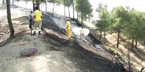Ot yangını ormana sıçramadan söndürüldü