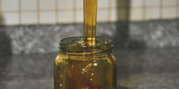 Kestane Bal� fiyatlar� a��kland�