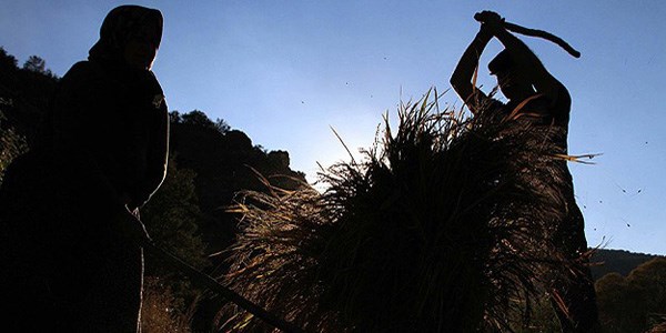 T�rkiye tah�l veriminde '�a� atlad�'