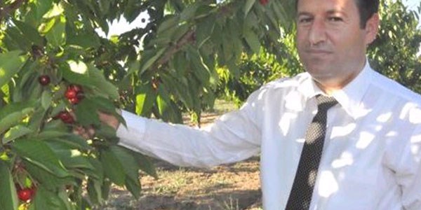 �zmirli giri�imci, Bitlis'te kiraz �retiyor