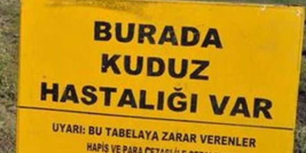 Ardahan'da kuduz vakası