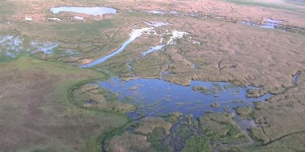 Sultansazl��� ve ku�lar suya doydu