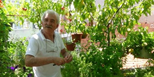 Çatıyı bahçeye çevirdiler