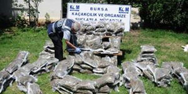 Bursa'da Lice'den getirilen 180 kilo esrar ele geirildi