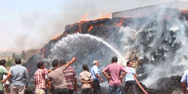 Besi çiftliğindeki yangında 30 ton saman küle döndü