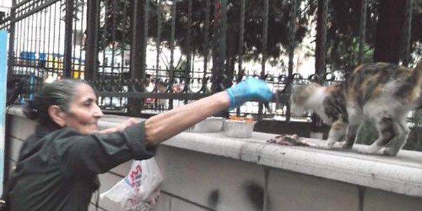 Böyle hayvan sevgisi görülmedi