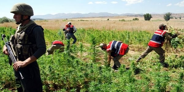 Diyarbakır'da büyük uyuşturucu operasyonu