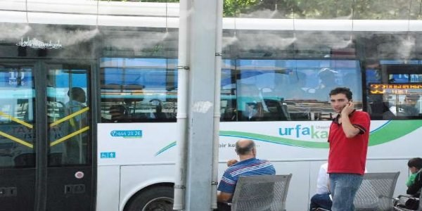 53 Derecede böyle serinliyorlar