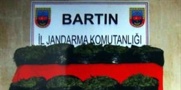 Ormanl�k alana hintkeneviri ekmi�ler