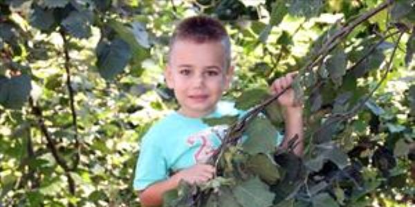 Ordu'da f�nd�k hasad�nda �ocuklar�n �al��t�r�lmas� yasakland�