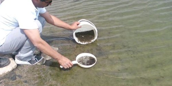 Aksaray'da göletlere 114 bin yavru balık bırakıldı