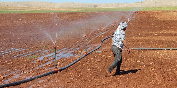 Güneydoğu'da toplulaştırma arazi fiyatlarını artıracak