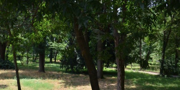 Kemer'de ormanlık alanda ceset bulundu