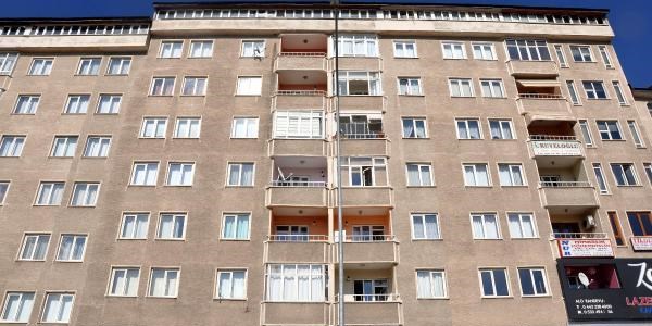 Apartmanı keneler bastı