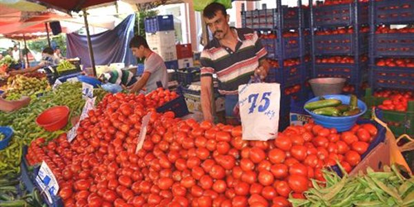 Domatesin fiyatı dibe vurdu