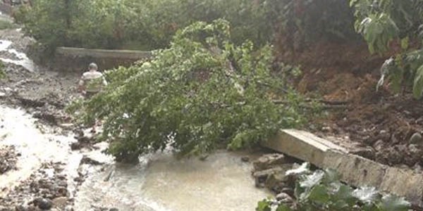 Giresun'da şiddetli yağış
