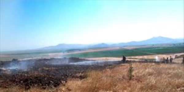 Kahramanmara�'ta zeytin ve �eftali bah�esinde yang�n