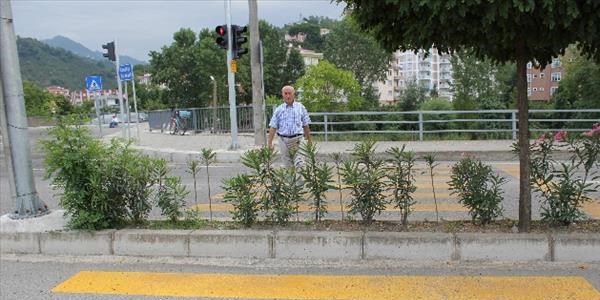 Bir Karadeniz klasiği yaya geçidi daha