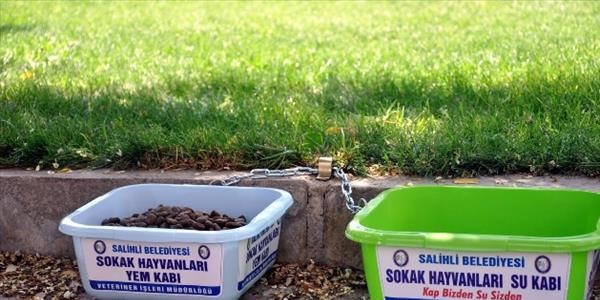 Salihli Belediyesi 1,5 ton mama dağıttı