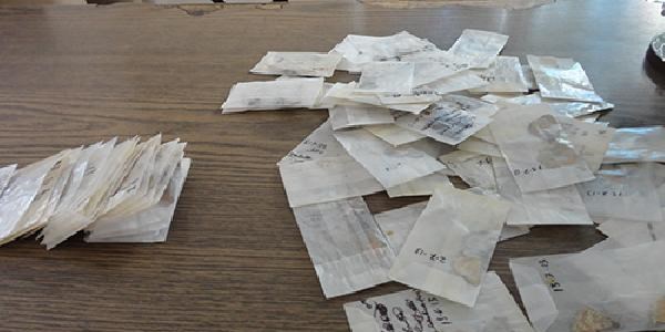Kelebekleri yurt dışına götürmek isteyen 2 İtalyan yakalandı