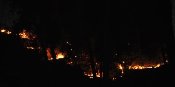 Antalya Çıralı'da orman yangını