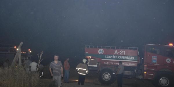 Aliağa'da orman yangını çıktı