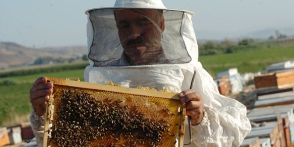 �klim, bal rekoltesini art�rd�