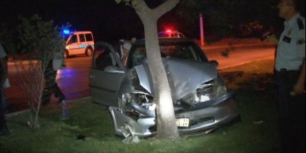 K�pe�e �arpmamak i�in a�aca �arpt�: 8 yaral�