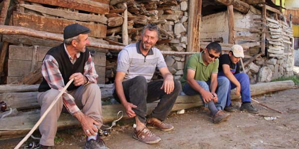 Köyü pireler sardı