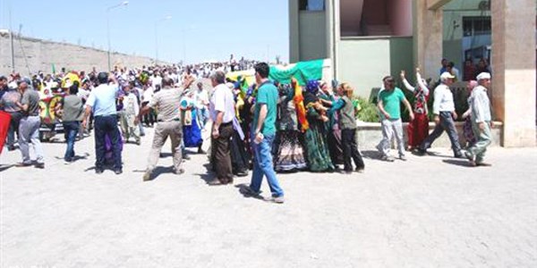 Vatandalar, 2 PKK'lnn cesedini dadan indirdi