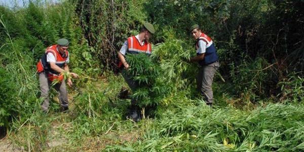Silahlı kişilerin dövüldüğü köye uyuşturucu operasyonu