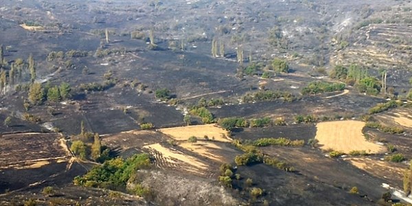 Yanan ormanl�k alan havadan g�r�nt�lendi