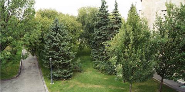 Genel Kurul'a giden t�nel projesi a�a�lar i�in de�i�tirildi/ Video