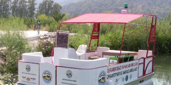 Caretta Carettalar için deniz ambulansı