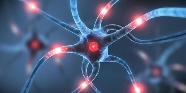 Başa darbe, IQ'yu düşürüyor