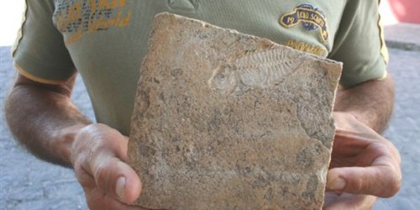 Tarsus'ta bir vatanda, tan zerinde balk fosili buldu