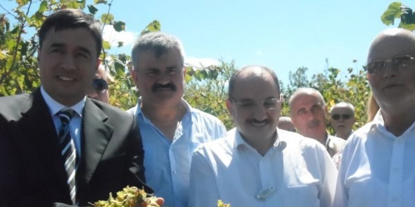 Alapl�'da hasat bayram� d�zenlendi