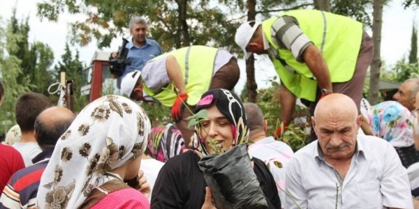 İlkadım'dan ücretsiz fidan dağıtımı