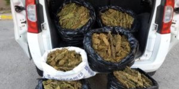 Batman'da 51 kilo esrar ele geçirildi
