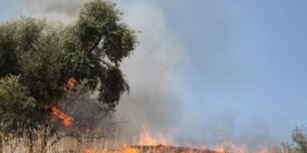 Yine e�lenmeyi bilemedik